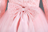 Autumn Winter baby girls dresses new Lace birthday dress long sleeve christmas dress for girl kids