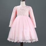 Autumn Winter baby girls dresses new Lace birthday dress long sleeve christmas dress for girl kids